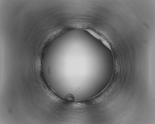 X0000112460453200908311333