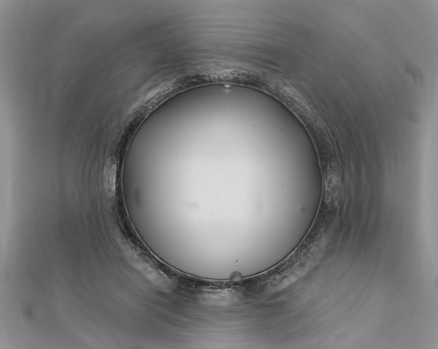 X0000112460454200908311333