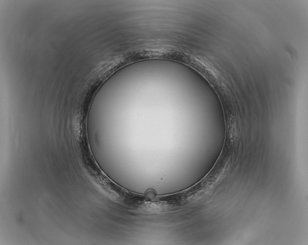 X0000112460455200908311333