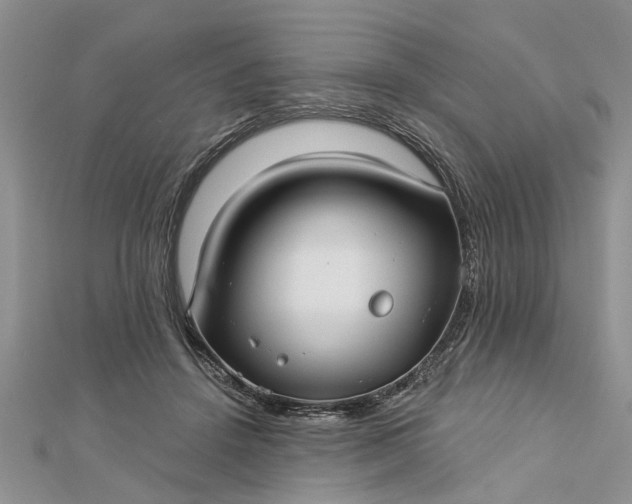 X0000112460456200908311333