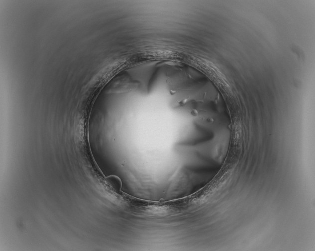 X0000112460457200908311333