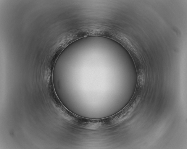 X0000112460458200908311333