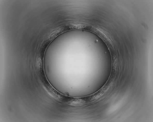 X0000112460459200908311333