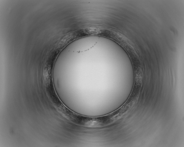 X0000112460460200908311333