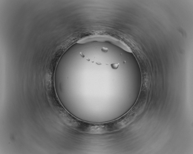 X0000112460461200908311333