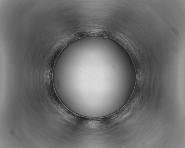 X0000112460462200908311333