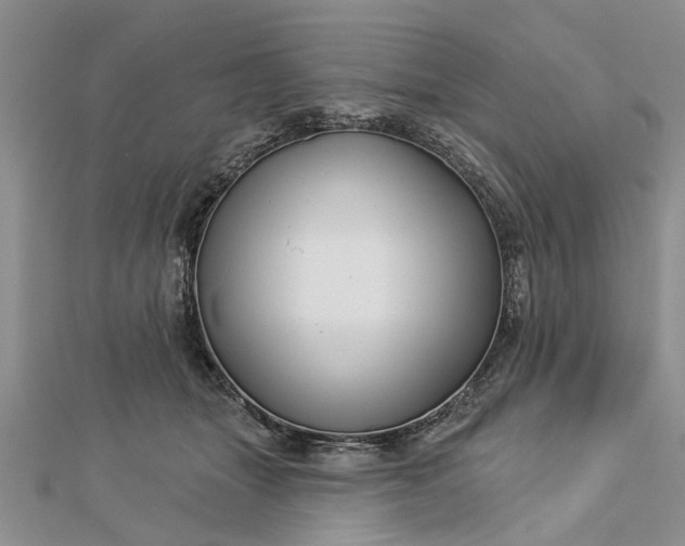 X0000112460463200908311333