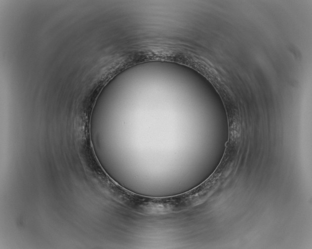 X0000112460464200908311333