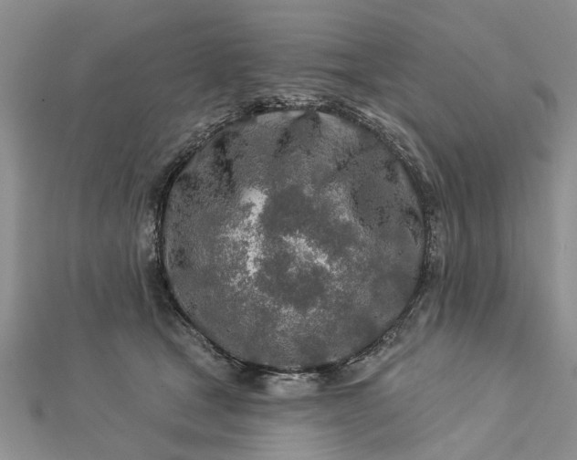 X0000112460465200908311333