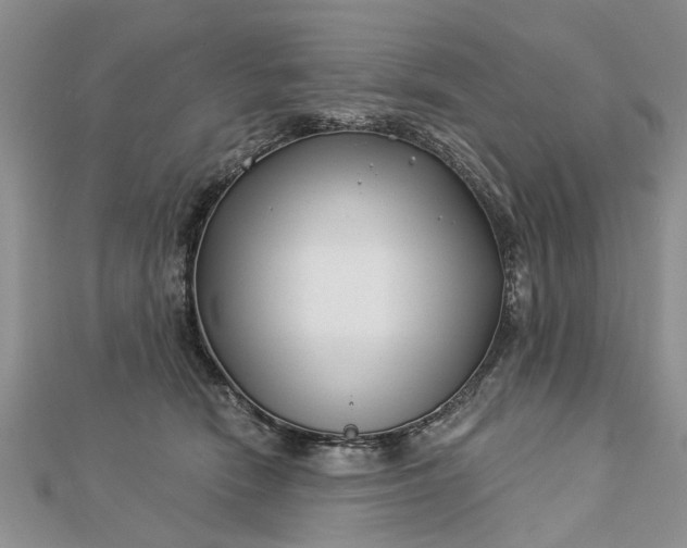 X0000112460466200908311333