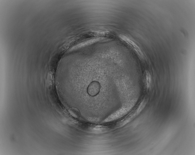 X0000112460467200908311333