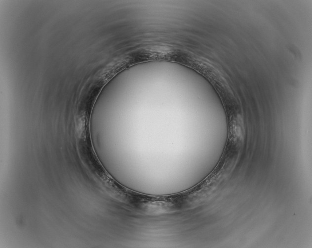 X0000112460468200908311333