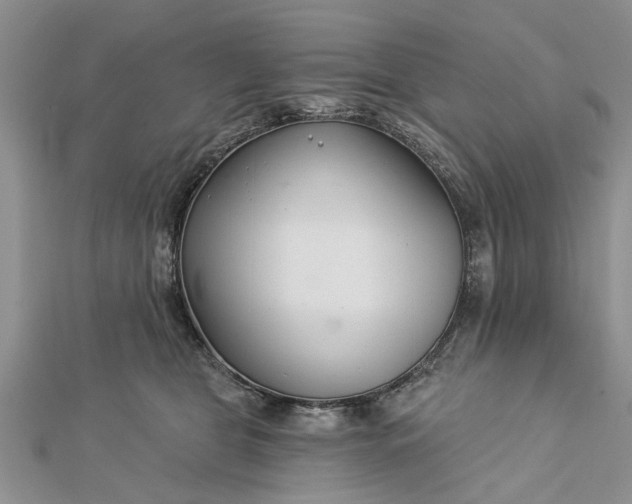 X0000112460469200908311333