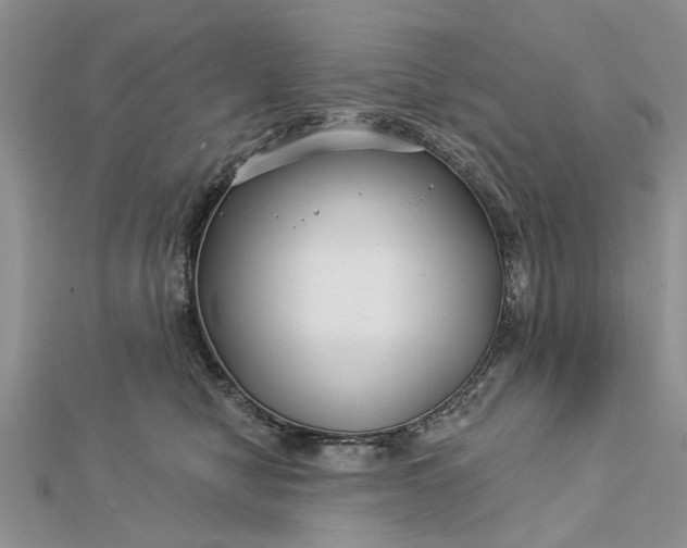 X0000112460470200908311333