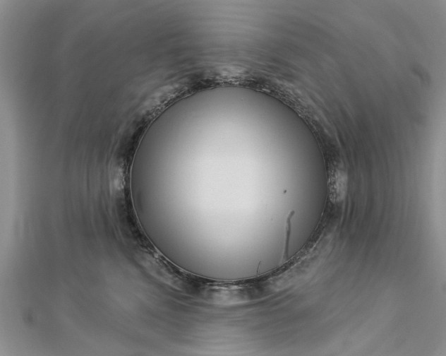 X0000112460472200908311333