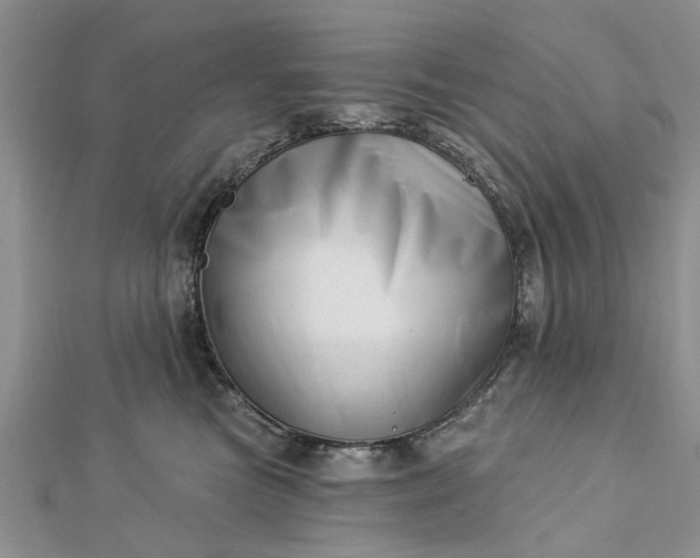 X0000112460473200908311333