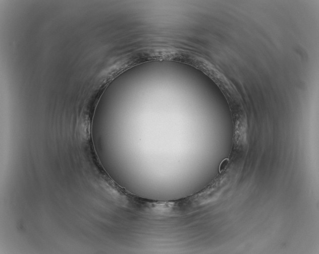 X0000112460474200908311333