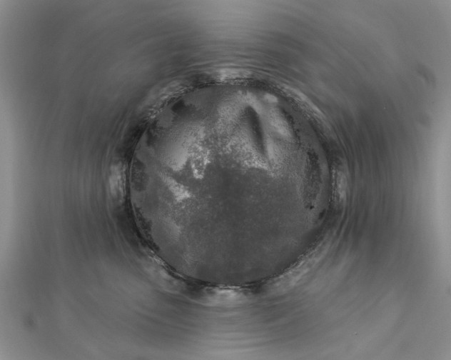 X0000112460475200908311333