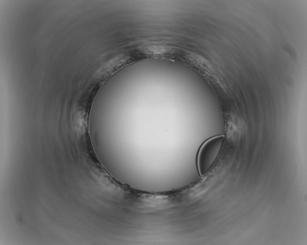 X0000112460476200908311333