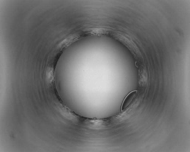 X0000112460478200908311333