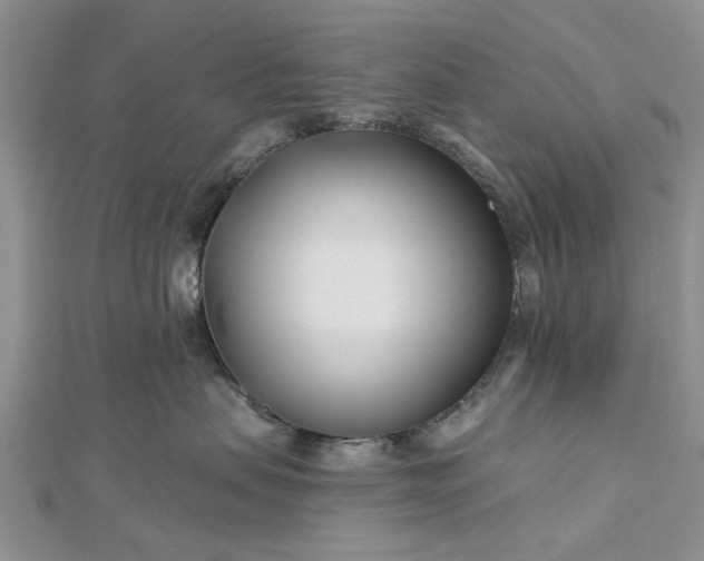 X0000112460479200908311333