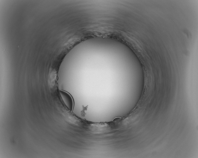 X0000112460480200908311333