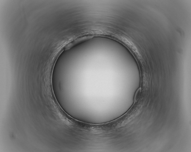 X0000112460481200908311332