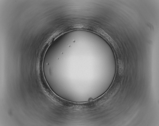 X0000112460482200908311332