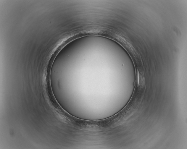 X0000112460483200908311332