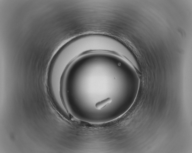 X0000112460484200908311332