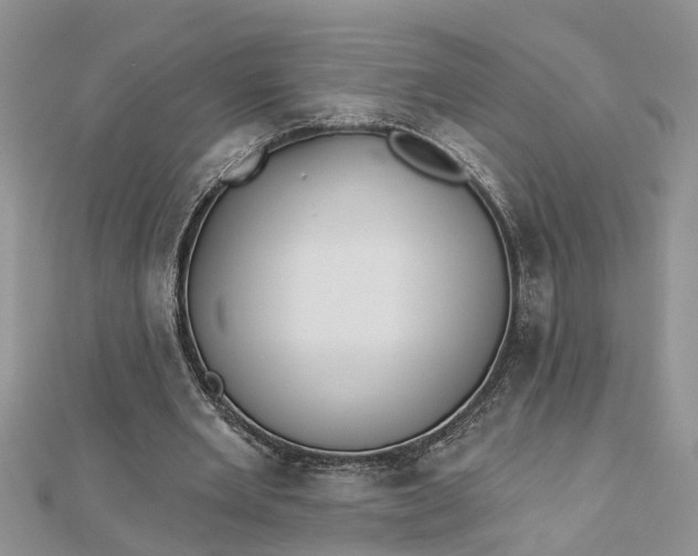 X0000112460485200908311332