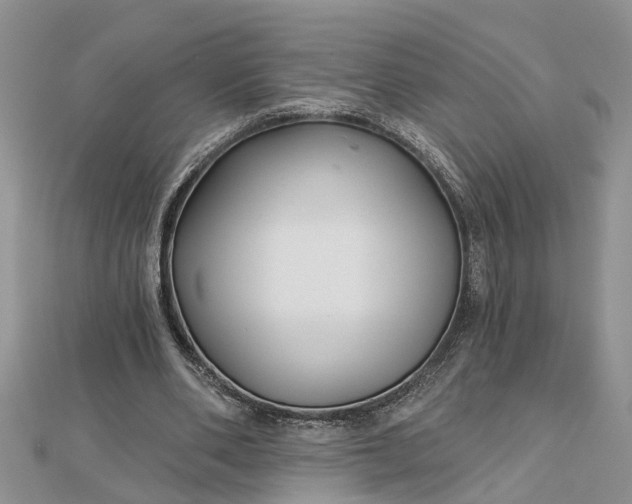 X0000112460486200908311332