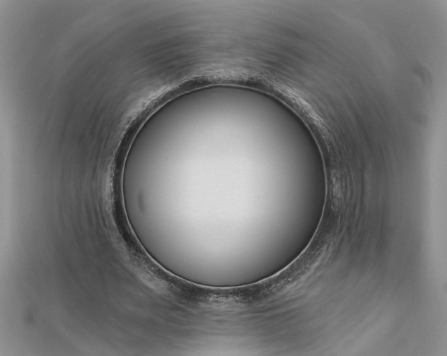 X0000112460487200908311332