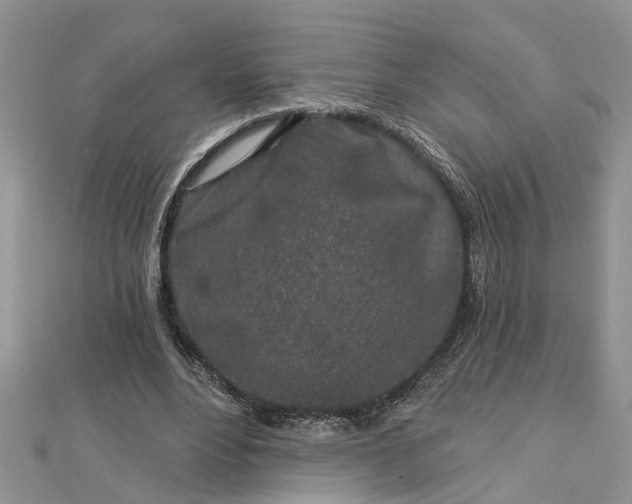 X0000112460488200908311332