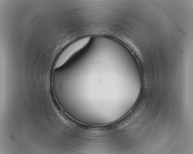 X0000112460489200908311332