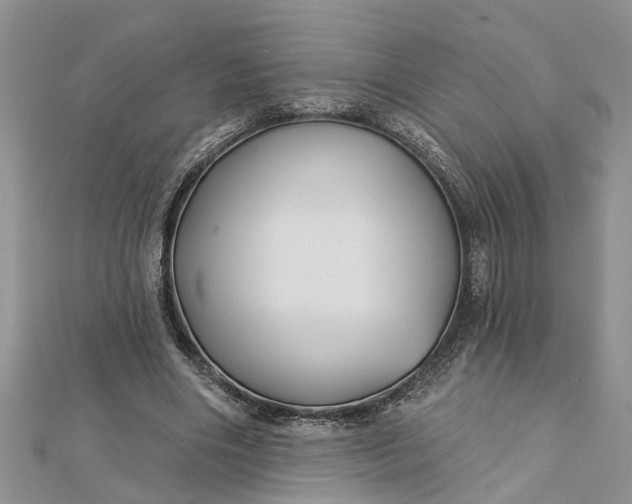 X0000112460490200908311332