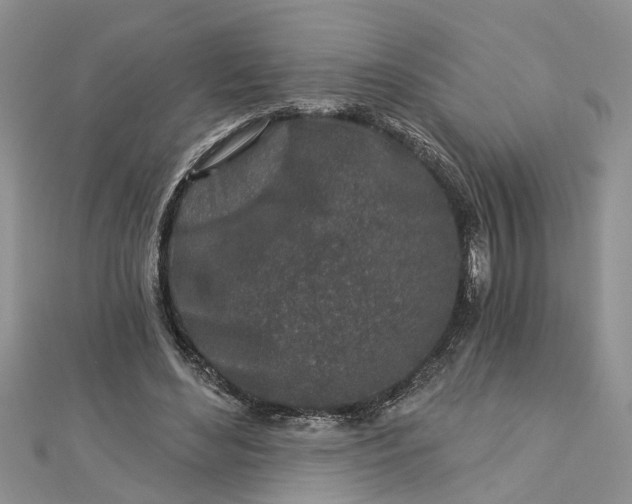 X0000112460492200908311332