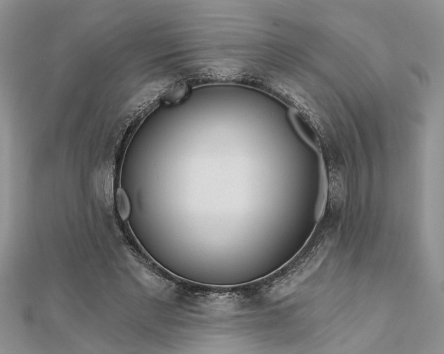 X0000112460493200908311332