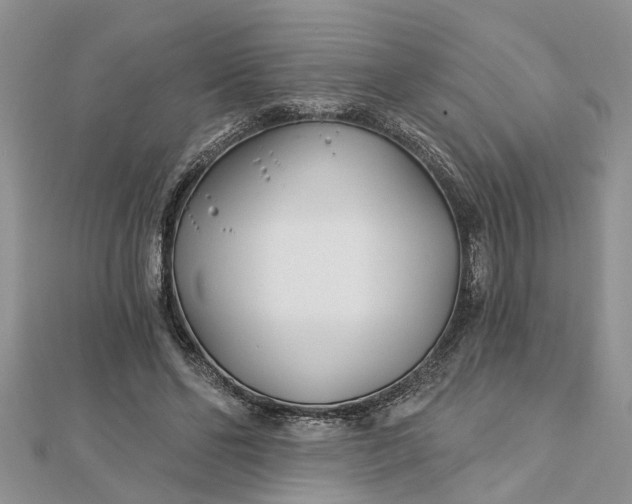 X0000112460494200908311332