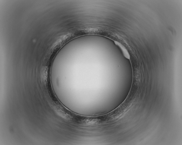 X0000112460495200908311332