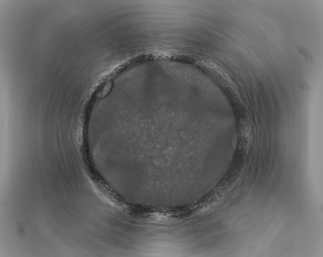 X0000112460496200908311332