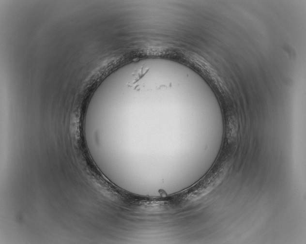 X0000112460497200908311332