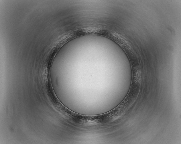 X0000112460498200908311332