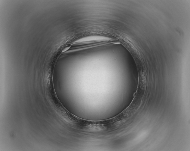 X0000112460499200908311332