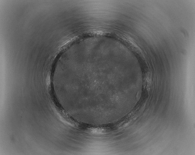 X0000112460500200908311332