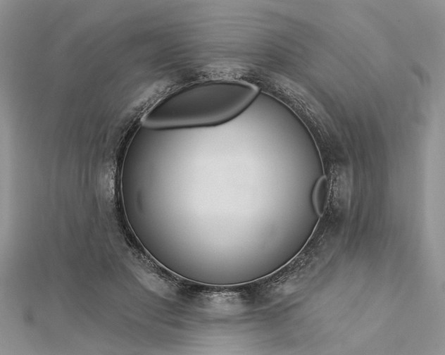 X0000112460501200908311332