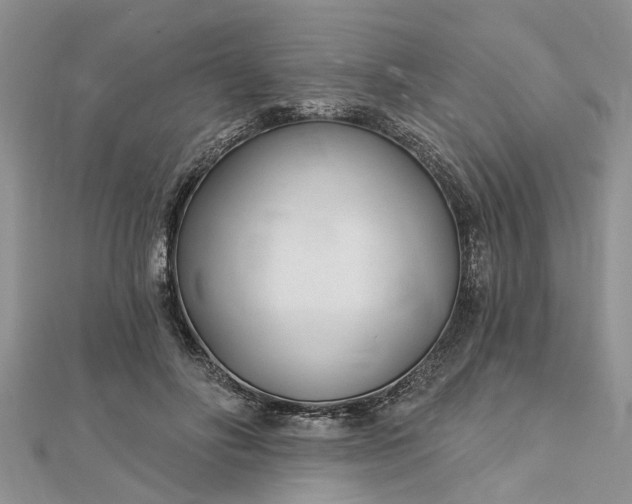 X0000112460502200908311332