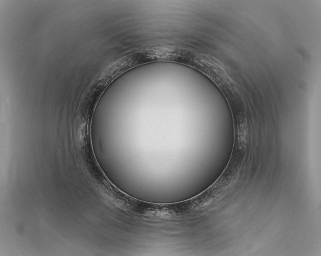 X0000112460503200908311332