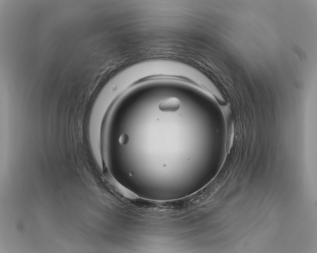 X0000112460504200908311332