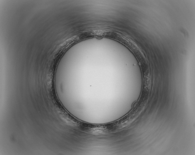 X0000112460505200908311332